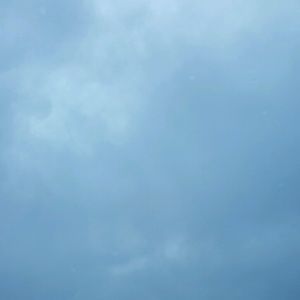 Meet your Posher, Lexi